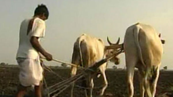 કેમ કરી રહ્યા છે ખેડૂતો વિરોધ?