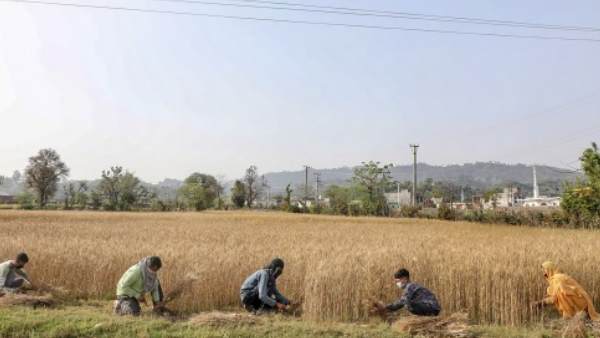 કિસાન સૂર્યોદય યોજના