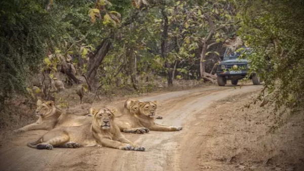 આ દિવસની ઉજવણી ક્યારે શરૂ થઈ, 2022ની થીમ શું છે?
