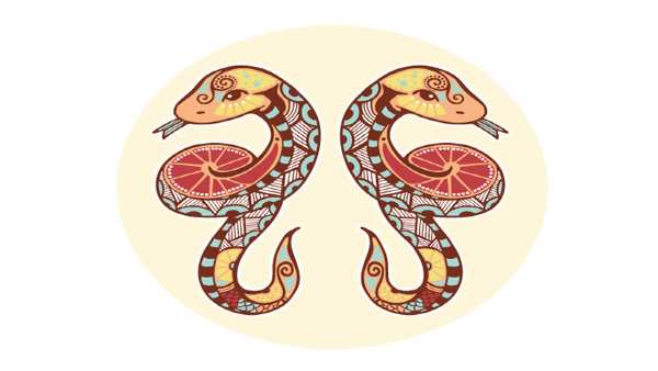 મિથુન (20 મેથી 20 જૂન):