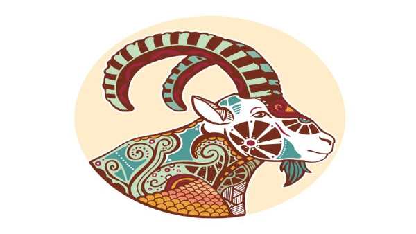 મકર (21 ડિસેમ્બરથી 19 જાન્યુઆરી):