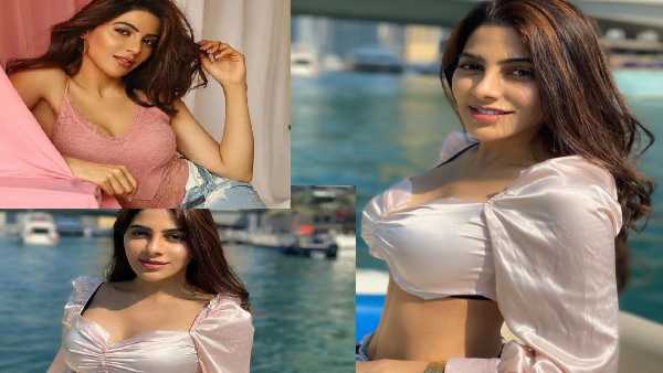 સોશિયલ મીડિયા પર ચાહકો