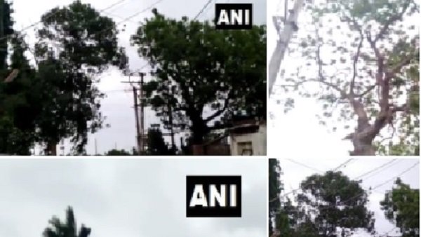 આ રાજ્યોમાં ભારે વરસાદનું અલર્ટ