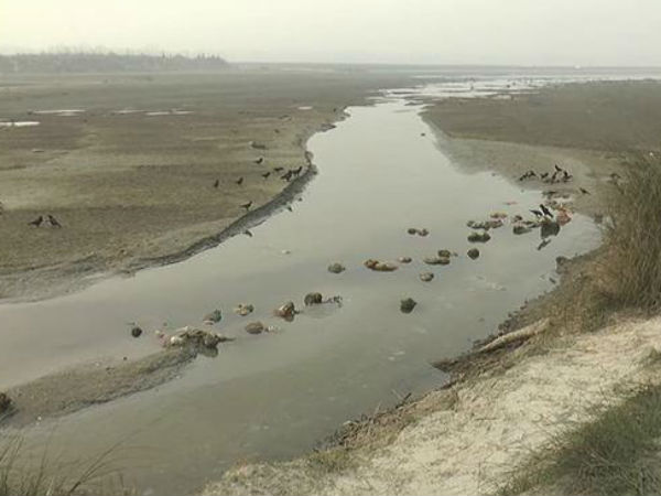 હજુ વધુ શબ બહાર આવવાની સંભાવના