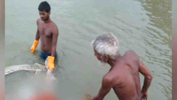 શબોને બહાર કાઢતા જોઈ શકાય છે