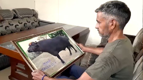 સુલતાનના સીમનની ભારે ડિમાન્ડ હતી