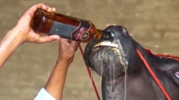 દારુનો શોખીન હતો, લેતો હતો હેવી ડાયેટ