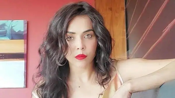 કાર દ્વારા પીછો કરવામાં આવ્યો હતો