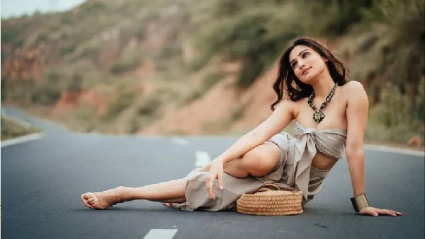 ડોનલ બિષ્ટની વેબસીરિઝ