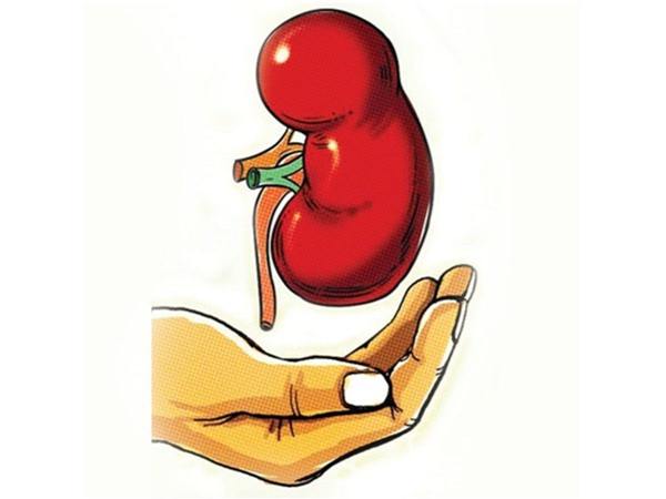 પથરીને બદલે કિડની કાઢવી પડશે