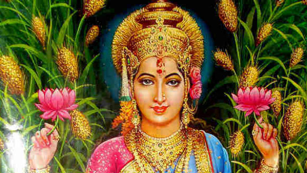 ભૂલીથી પણ આ દિશામાં તિજોરી ન રાખો