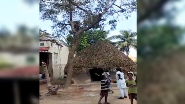 આ વ્યક્તિએ દર વખતે રસી લેવાનું ટાળતો આવ્યો છે