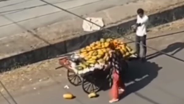 ગૌહર ફળ વેચનારને મદદ કરવા માંગે છે