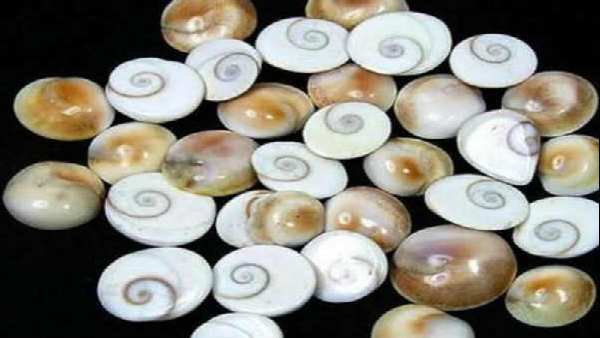 ગોમતી ચક્રથી મળશે ગર્ભ ધારણ કરવામાં મદદ