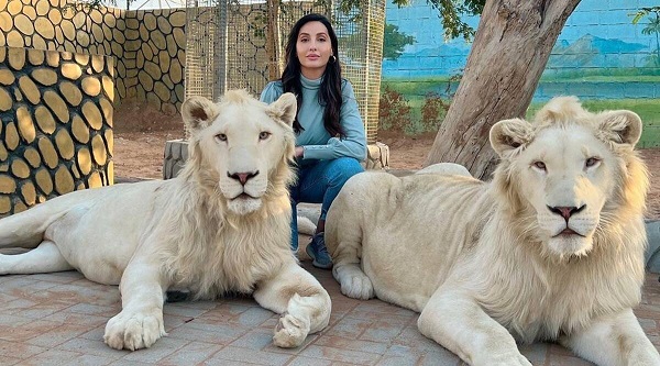 આ નોરાની છેલ્લી પોસ્ટ હતી