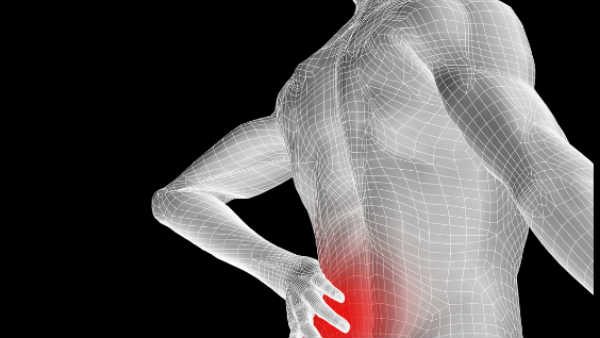 Back Pain Back Pain