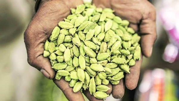 ઇલાયચીમાં શું ગુણધર્મો છે?