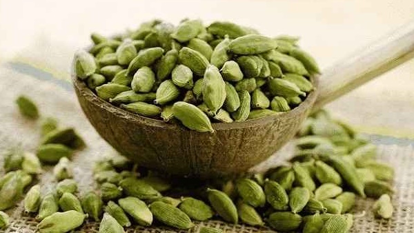 ઇલાયચીનું સેવન કેવી રીતે કરવું?