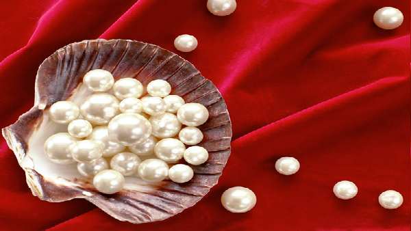 સમુદ્ર કિનારે મોતી મળવા