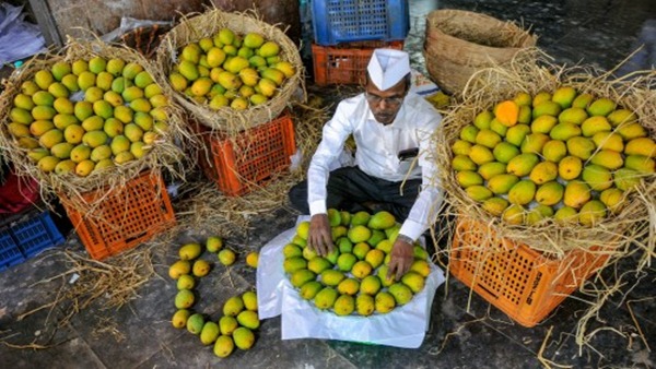 આ સિઝનમાં ઉંચા રહેશે ભાવ