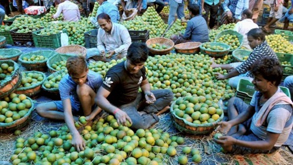 લગ્નની સિઝનમાં લીંબુની માગ વધુ