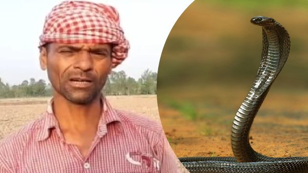 'હંમેશા ભયના ઓથા હેઠળ જીવે છે'