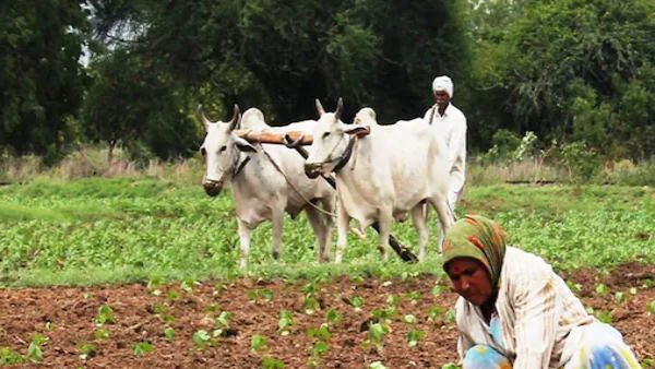 પીએમ કિસાન યોજનામાં ફેરફાર કરાયા