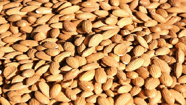 બદામ -