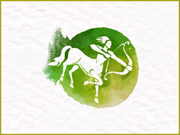 ધન રાશિ :