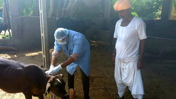 કમિટી રોગચાળા પર નજર રાખશે