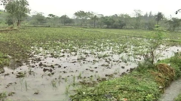 8 લાખથી વધુ ખેડૂતોને લાભ મળશે