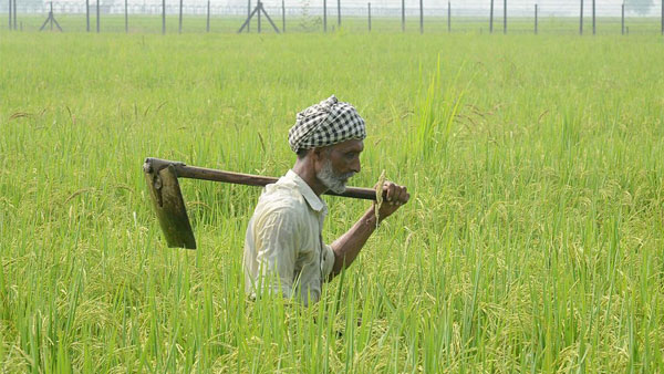 PM કિસાન નિધિ યોજના