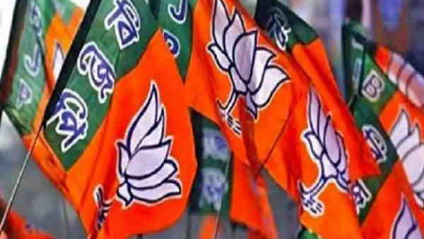 આ મુદ્દા વધારી શકે છે ભાજપની ટેંશન