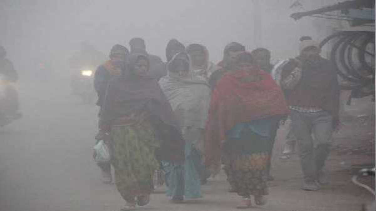 અમદાવાદમાં તીવ્ર ઠંડી સાથે ગાઢ ધૂમ્મસ