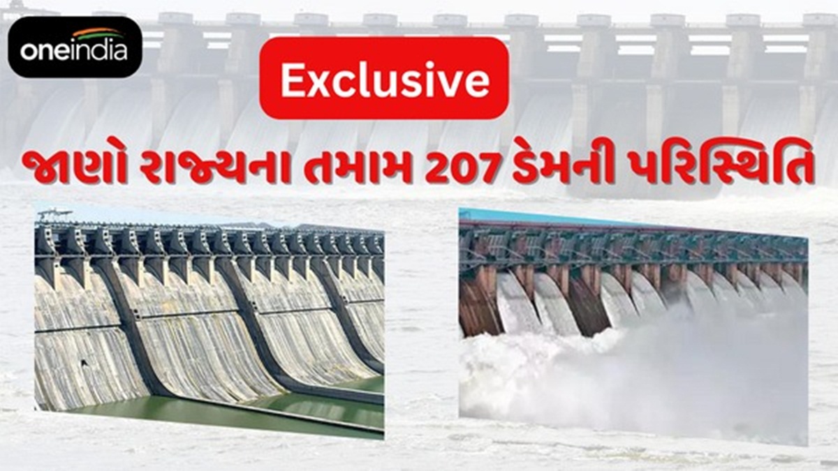 જાણો રાજ્યના તમામ 207 ડેમની પરિસ્થિતિ Exclusive report on all 207
