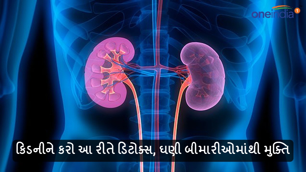Health Tips કિડનીને કરો આ રીતે ડિટોક્સ, ઘણી બીમારીઓમાંથી મુક્તિ Health Tips Detox the