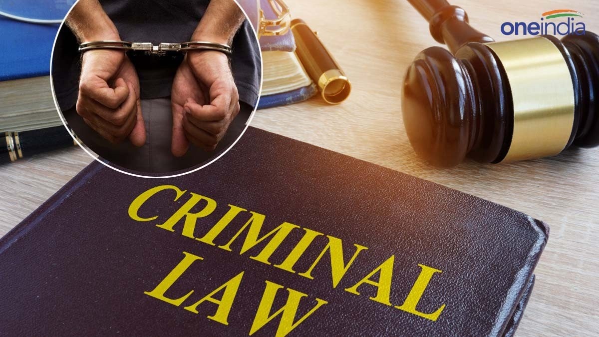 New Criminal Laws નવા ક્રિમિનલ કાયદામાં હશે 10 મહત્વની જોગવાઇ New