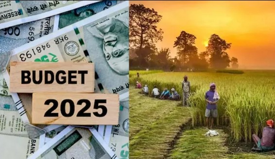 છેલ્લા 10 વર્ષમાં કૃષિ માટેના બજેટમાં કેટલો વધારો થયો?