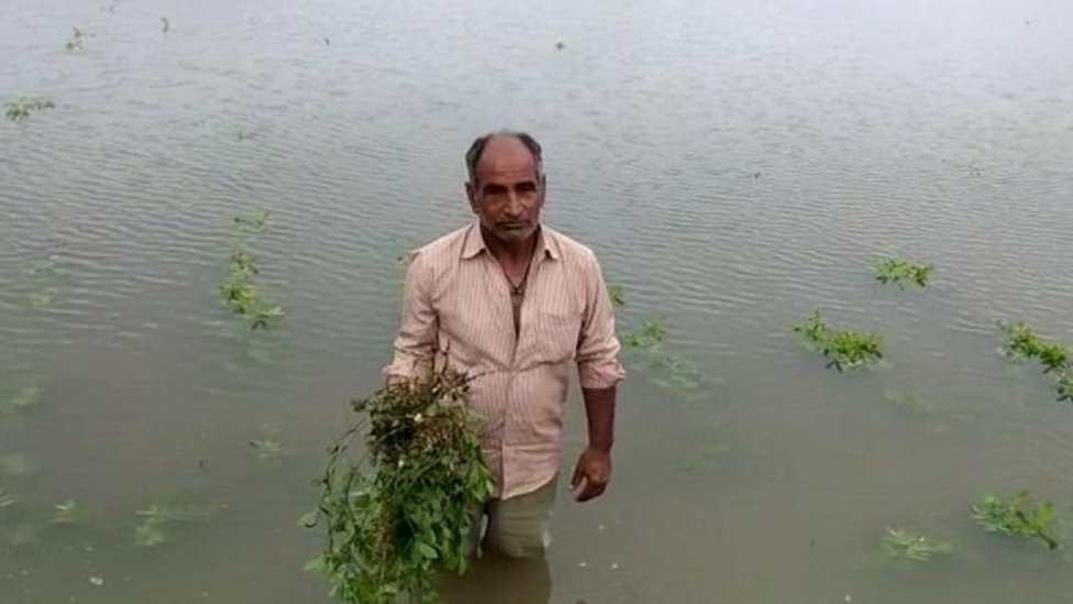 ખેડૂતોને અતિવૃષ્ટિ ભારે પડી? ખેડૂતોને અતિવૃષ્ટિ ભારે પડી?