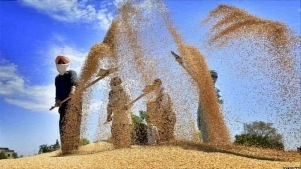 ખેડૂતો ખેડૂતો